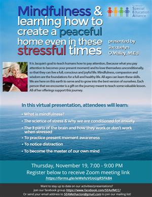 Mindfulness & learning how to create a peaceful home even in these stressful times 